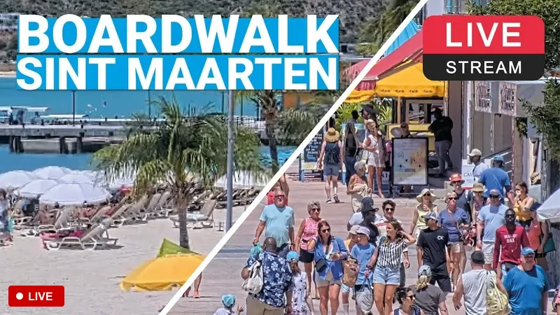 Boardwalk 即時攝影機 - 大灣海灘